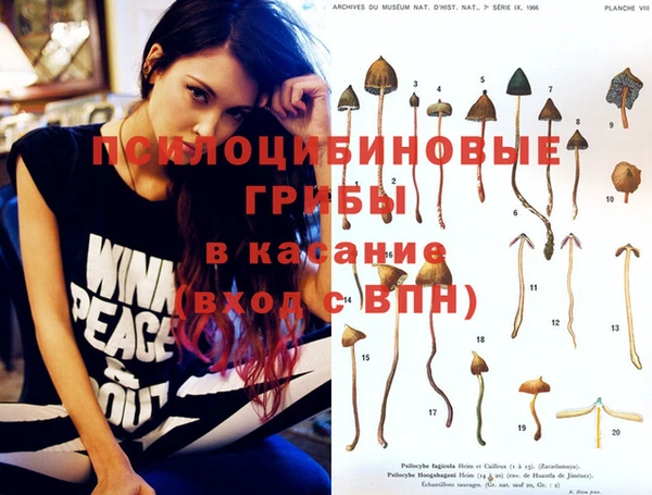 мескалин Алзамай