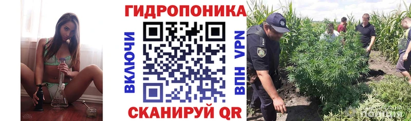 где продают наркотики  Невинномысск  Каннабис THC 21% 
